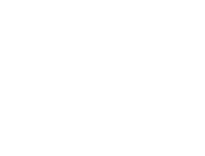 BBB logo big