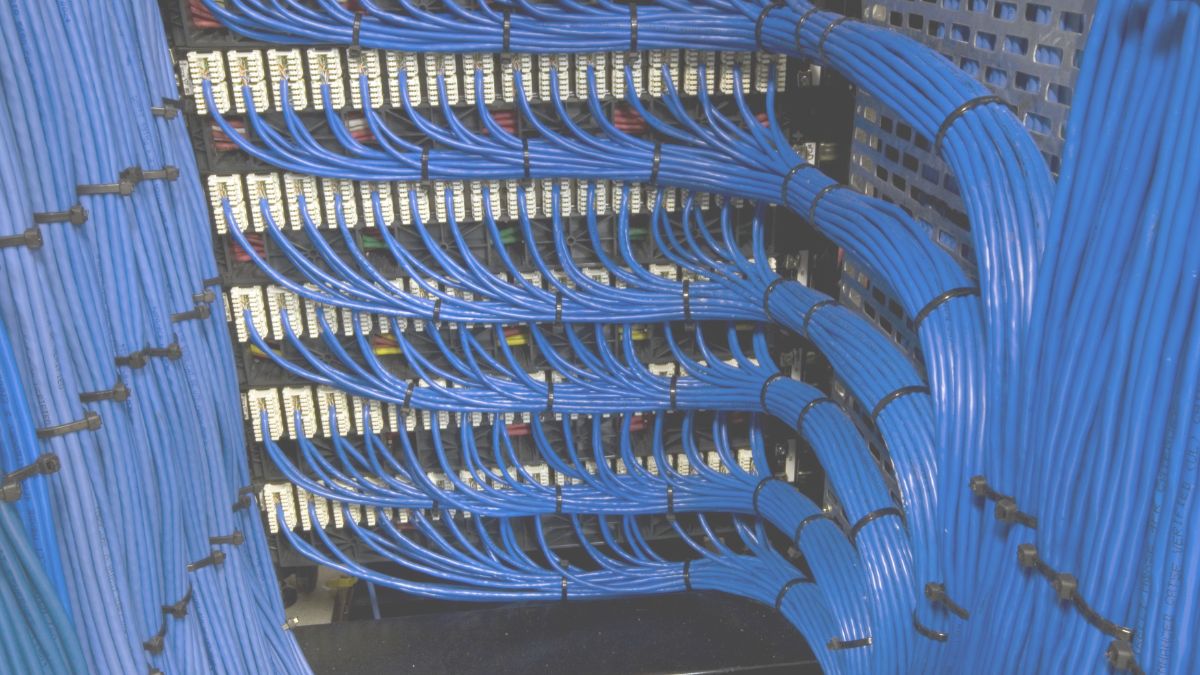 Network server with lots of ethernet cables with structured wiring